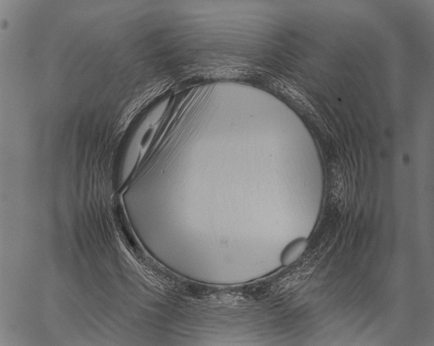 X0000062170586200601061043