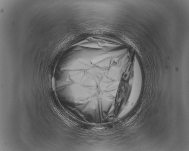 X0000062170589200601061043