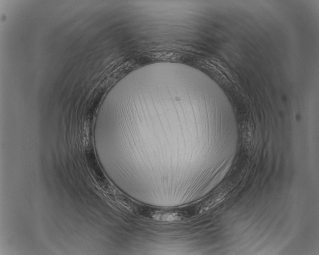 X0000062170602200601061042