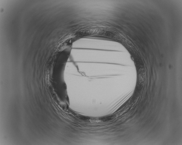 X0000062170605200601061042