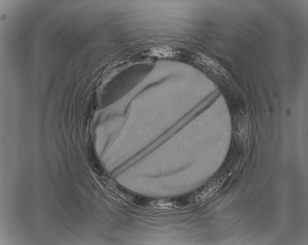 X0000062170607200601061042