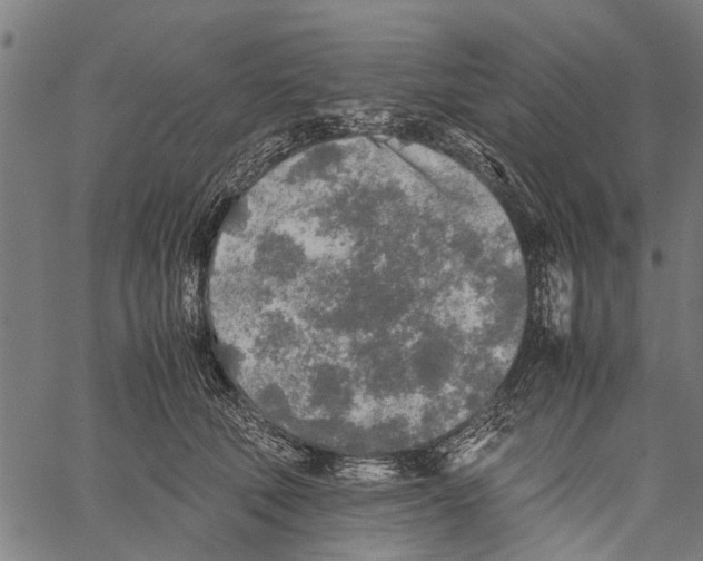 X0000062170610200601061042