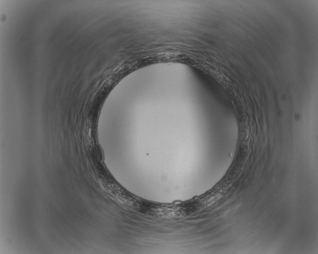 X0000062170615200601061042