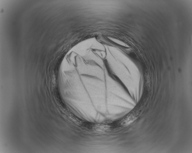 X0000062170617200601061042