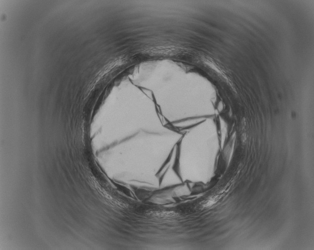 X0000062170637200601061041