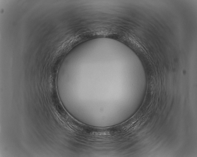X0000062170639200601061042