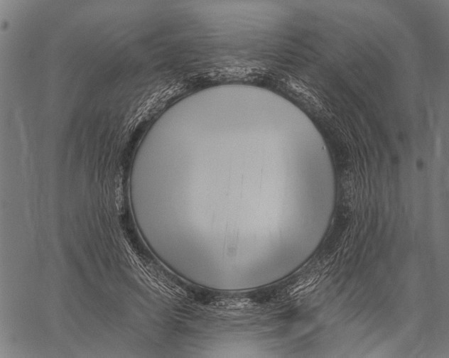 X0000062170642200601061042