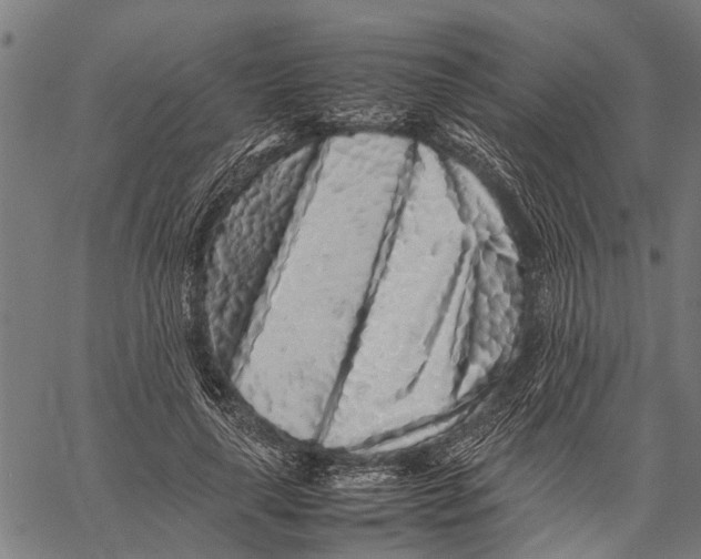 X0000062170643200601061042
