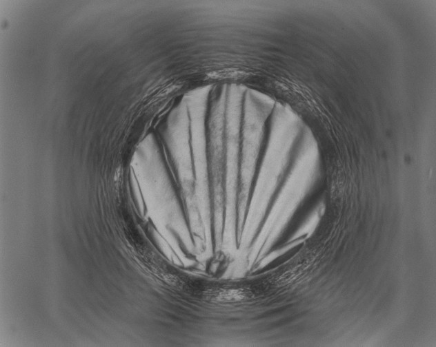 X0000062170647200601061042