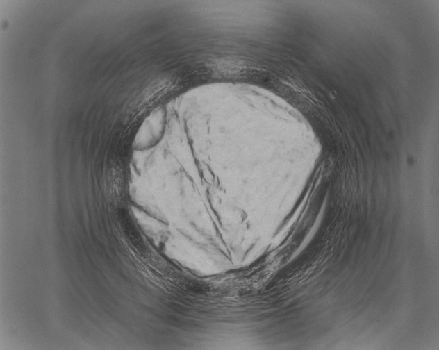X0000062170648200601061042