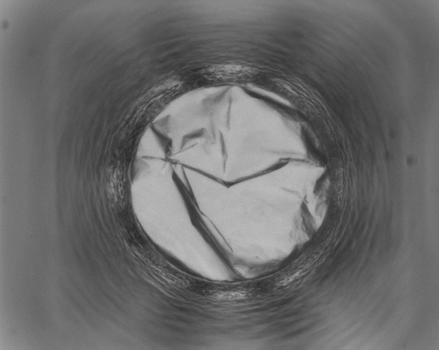 X0000062170653200601061042
