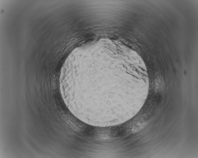 X0000062170658200601061042
