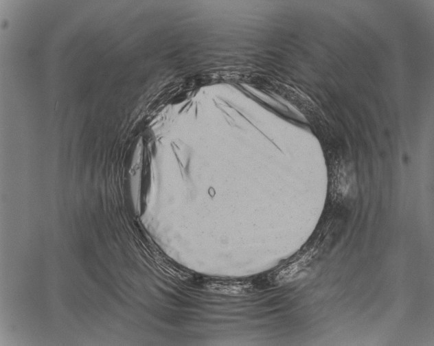 X0000062170661200601061042