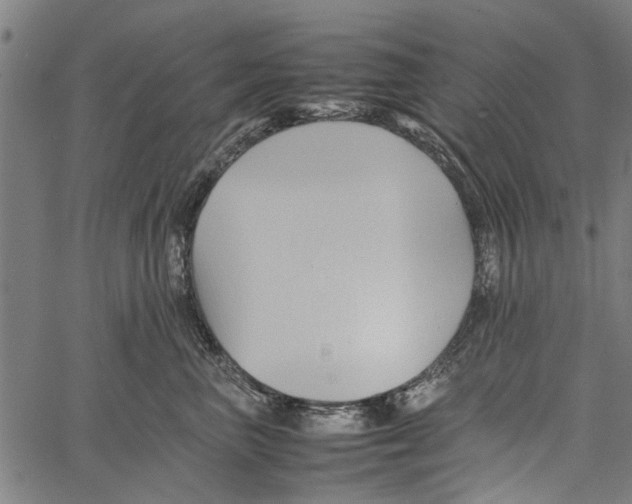 X0000062170667200601061042