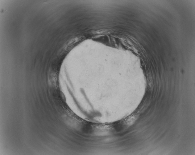 X0000062170669200601061042