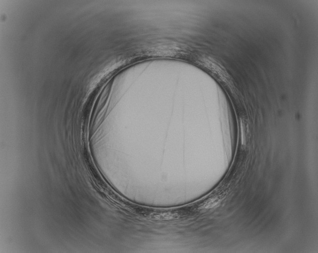 X0000062170675200601061041