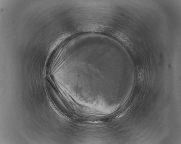 X0000062170678200601061041