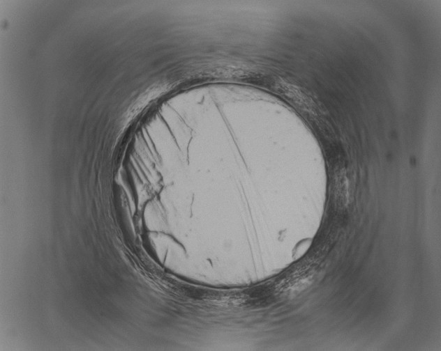 X0000062170679200601061041