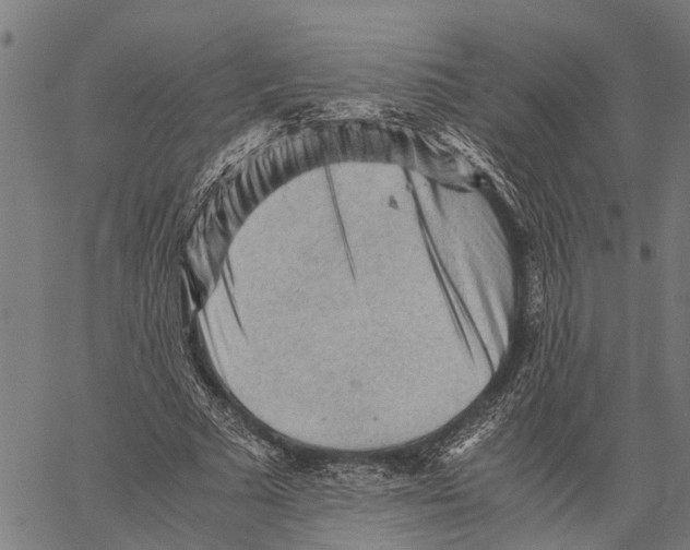 X0000062170681200601061041