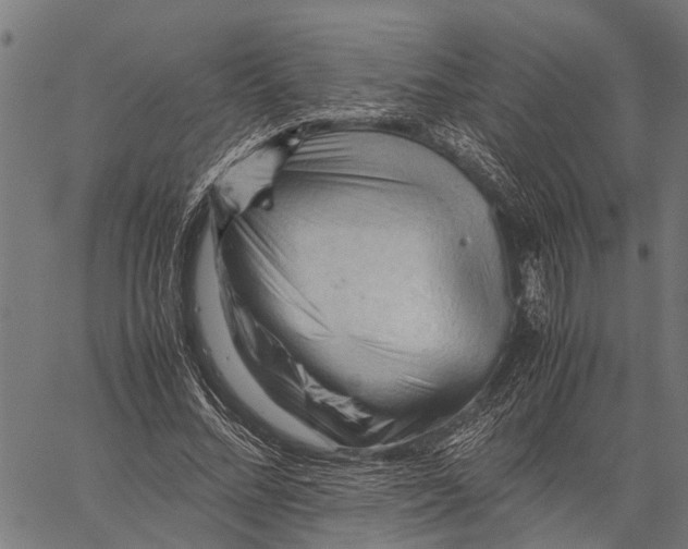 X0000062170684200601061041