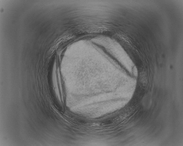 X0000062170687200601061041