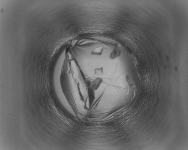 X0000062170688200601061041