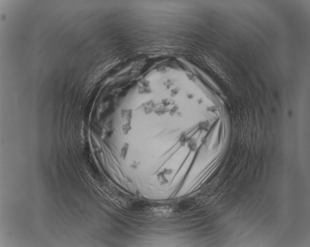 X0000062170692200601061041