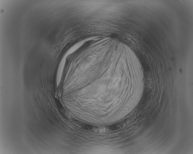 X0000062170695200601061041