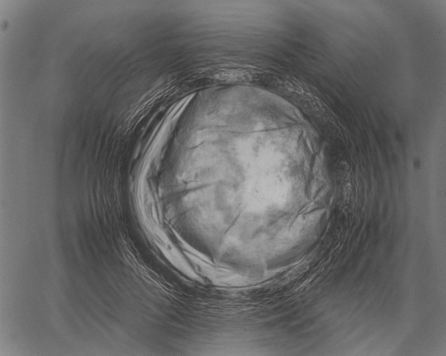 X0000062170696200601061041