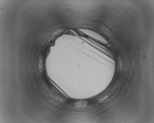 X0000062170700200601061041
