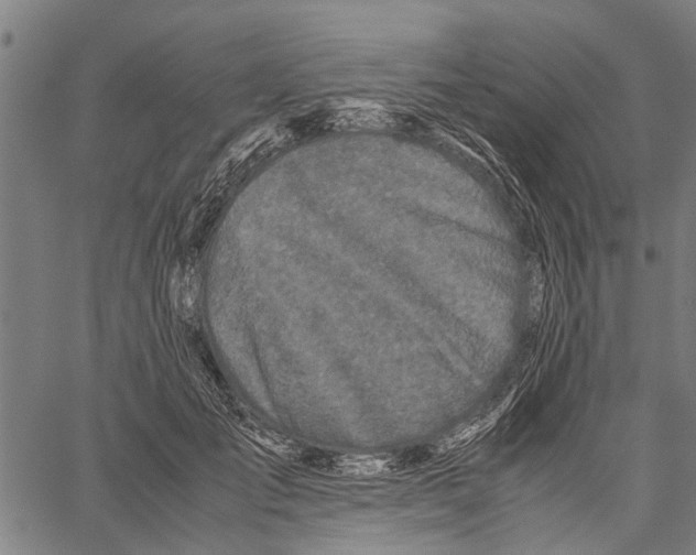 X0000062170701200601061041
