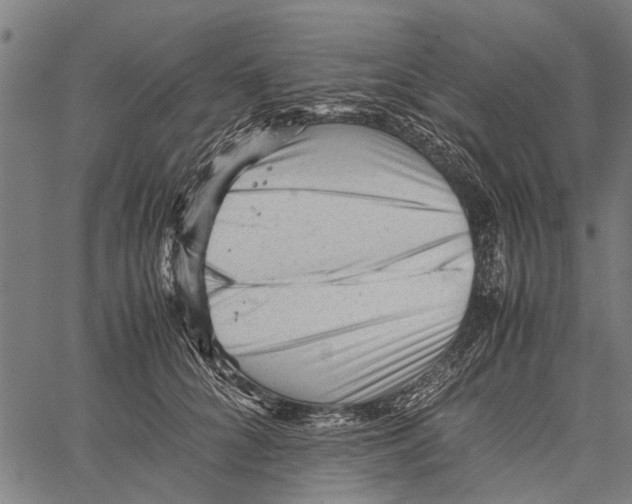 X0000062170704200601061041