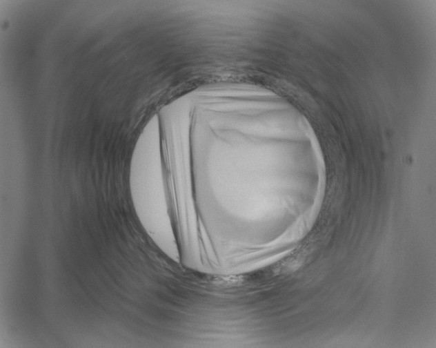 X0000062170720200601061040