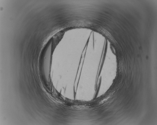 X0000062170722200601061040
