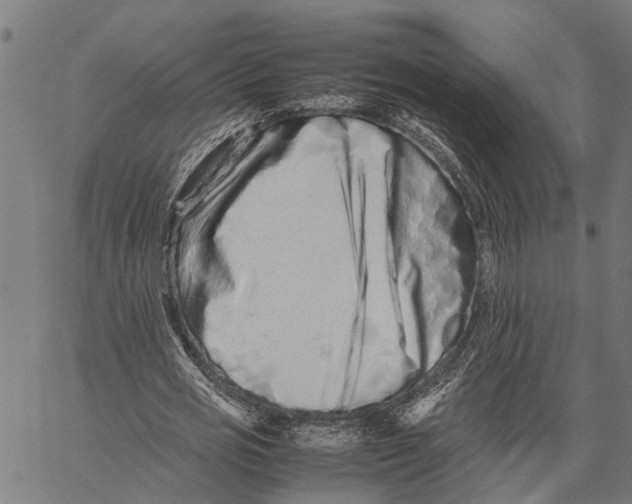 X0000062170725200601061040