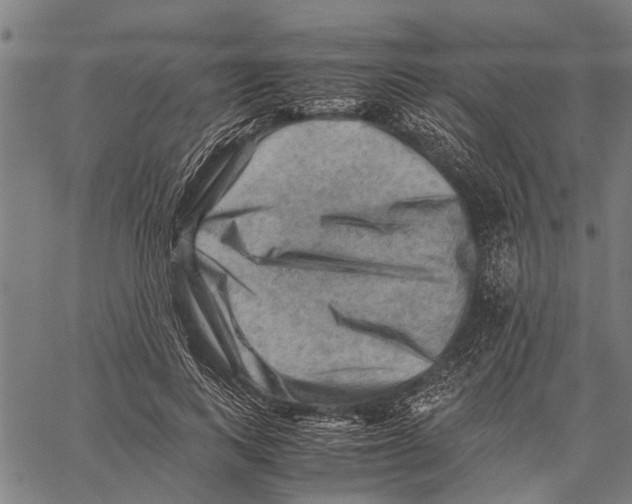 X0000062170743200601061040