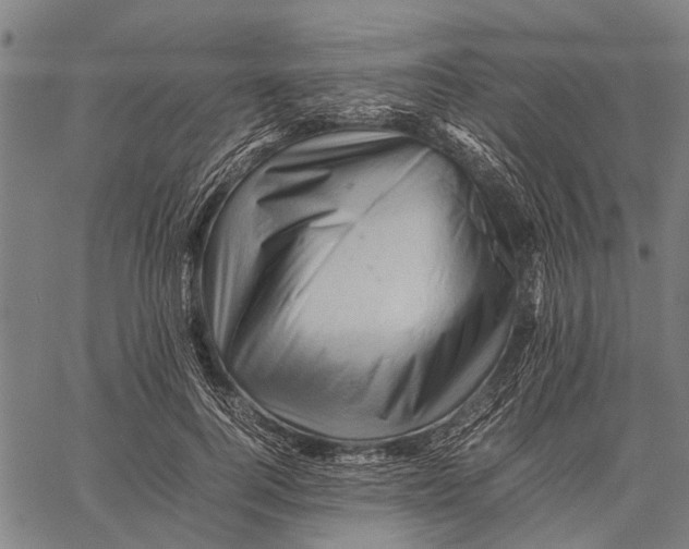 X0000062170744200601061040