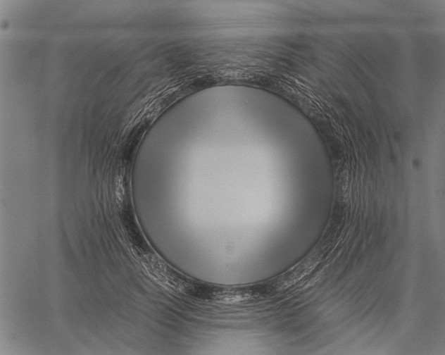 X0000062170746200601061040