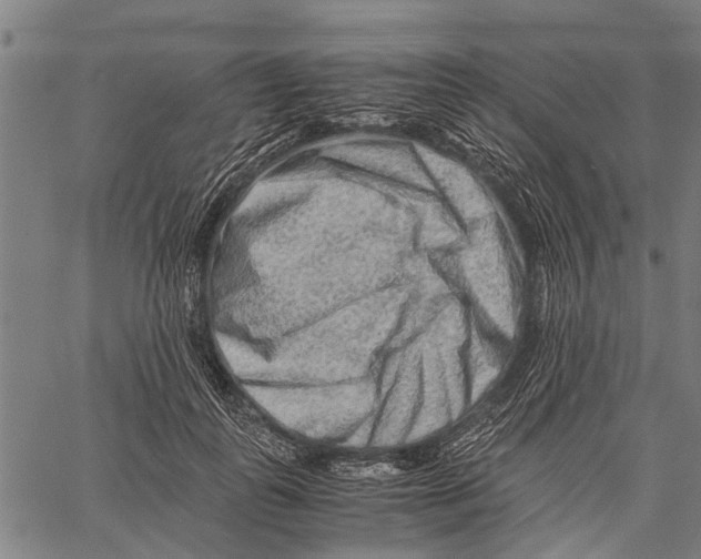 X0000062170747200601061040