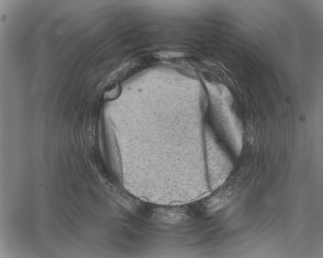 X0000062170763200601061040