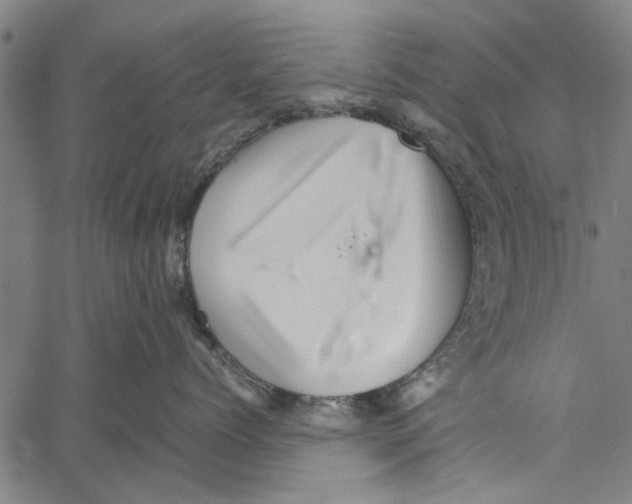 X0000062170768200601061040