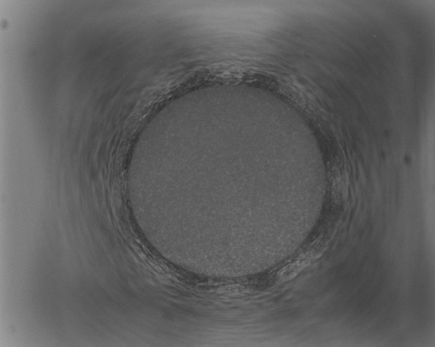 X0000062170769200601061040