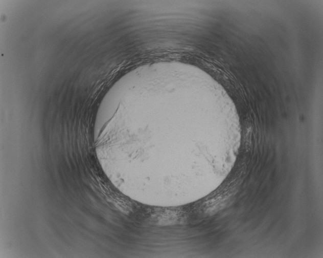 X0000062170772200601061040