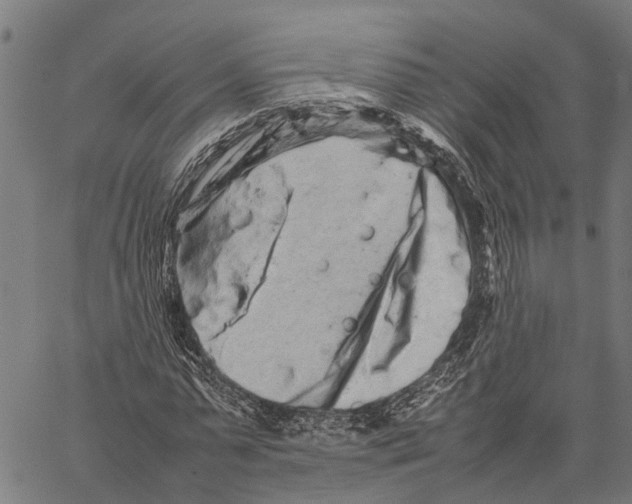 X0000062170775200601061040