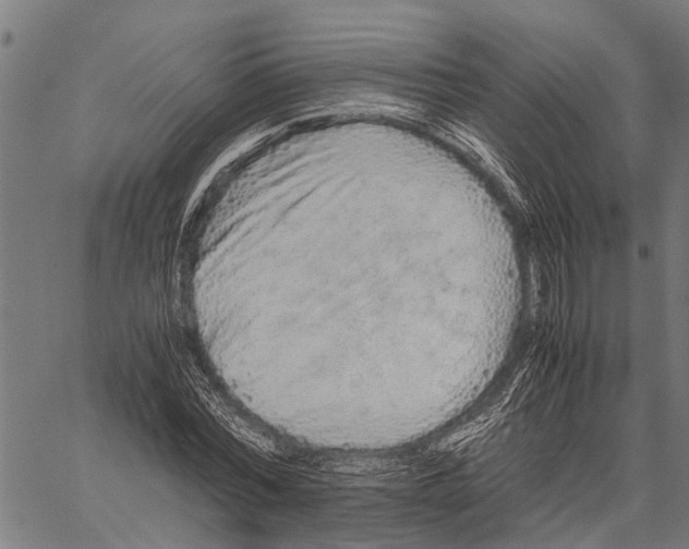 X0000062170780200601061039