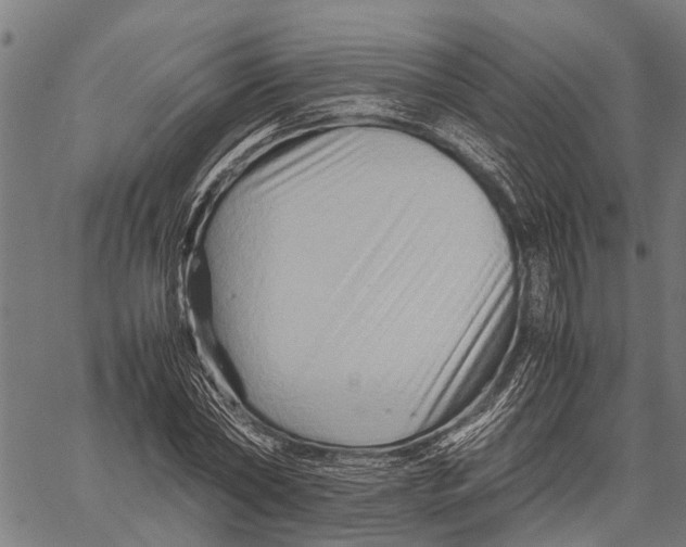 X0000062170782200601061039