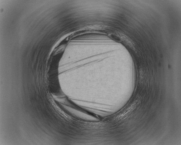 X0000062170784200601061039
