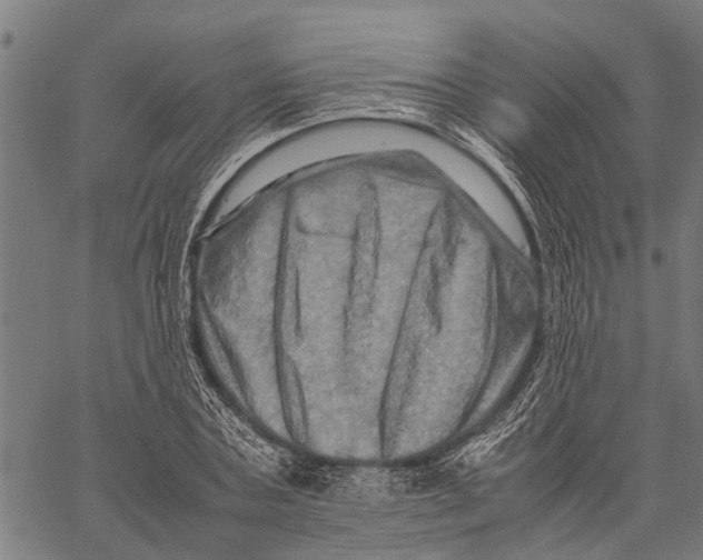 X0000062170787200601061039