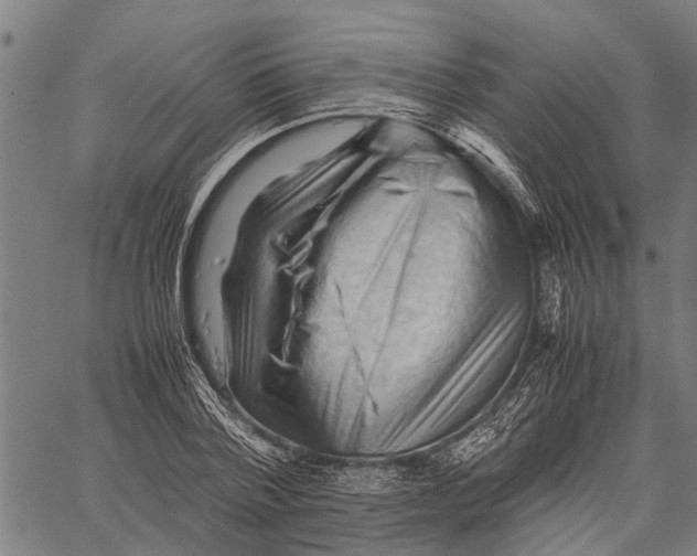 X0000062170788200601061039