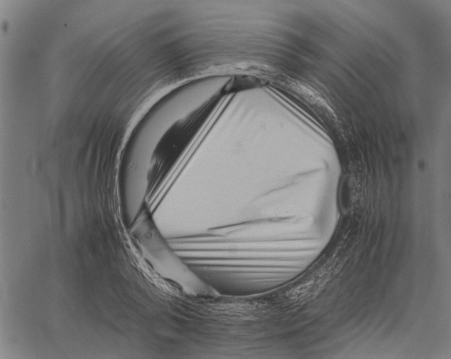 X0000062170792200601061039